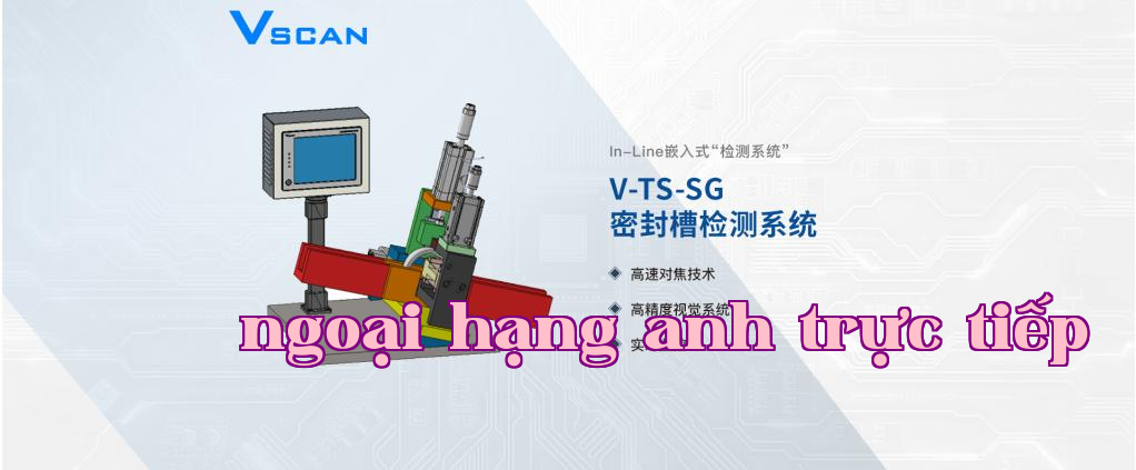 Hệ thống kiểm tra rãnh phớt của vòng bi VSCAN